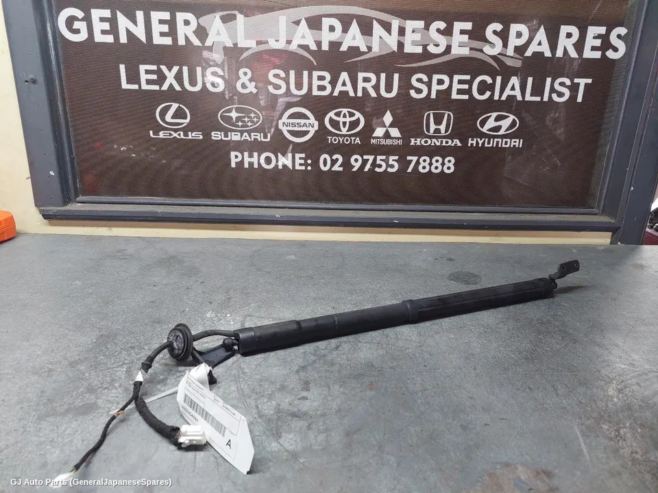 Hatch Strut