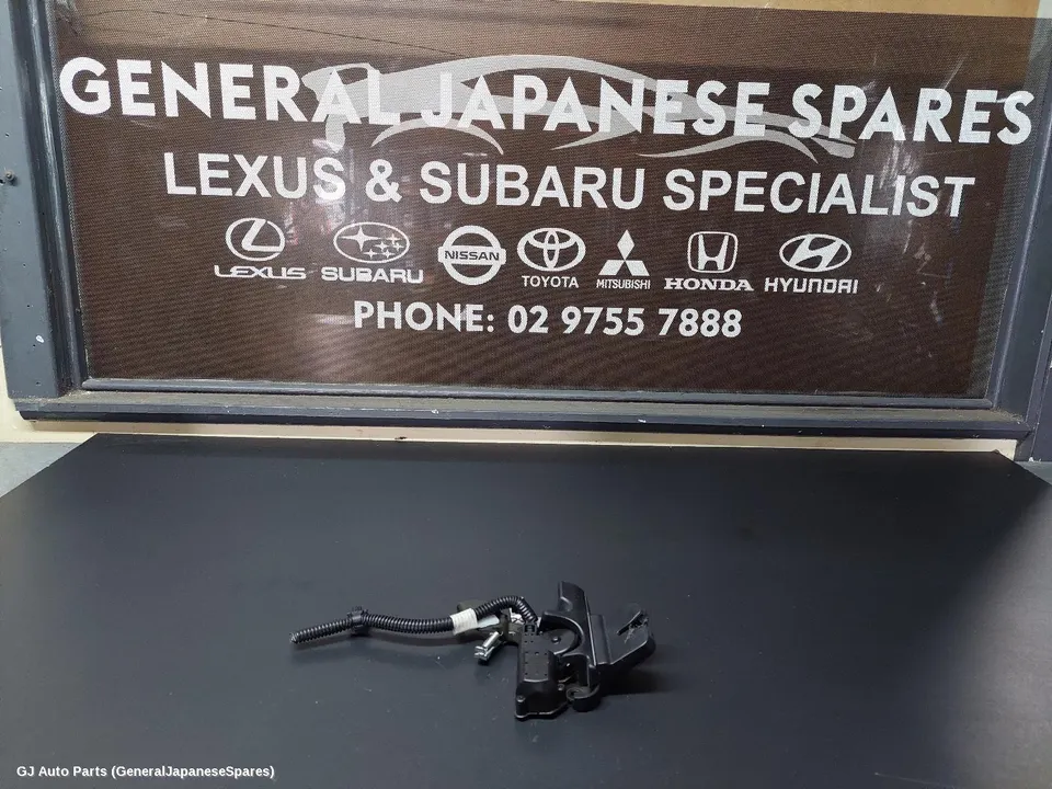 Door/Boot/Gate Lock