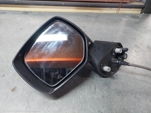 Left Door Mirror