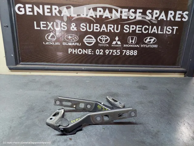 Bonnet Hinge/Strut