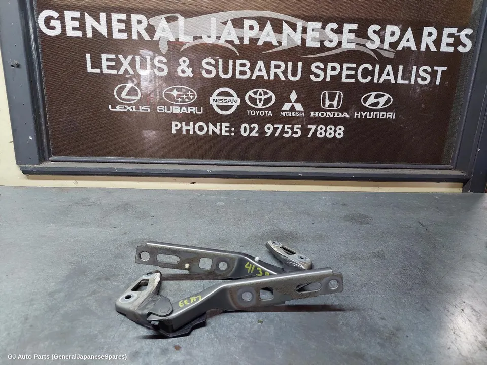 Bonnet Hinge/Strut