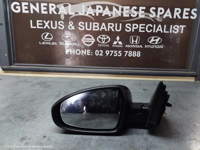 Left Door Mirror