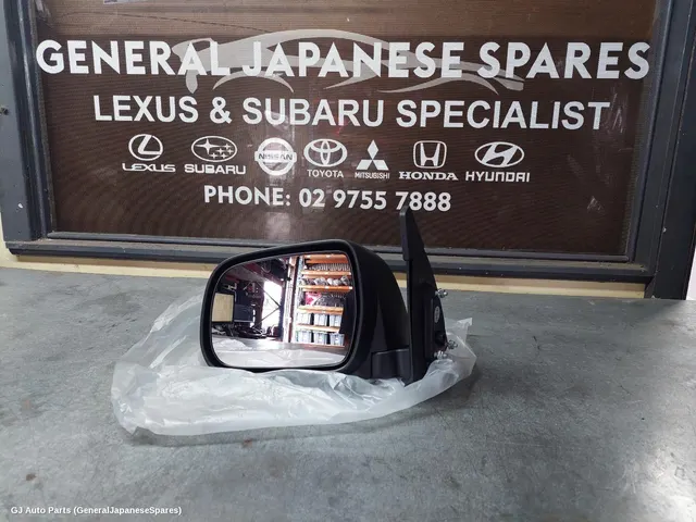Left Door Mirror