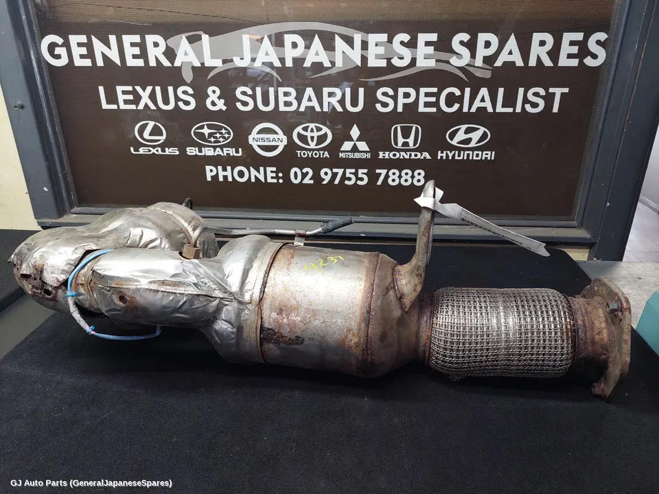 Particulate Filter/Dpf