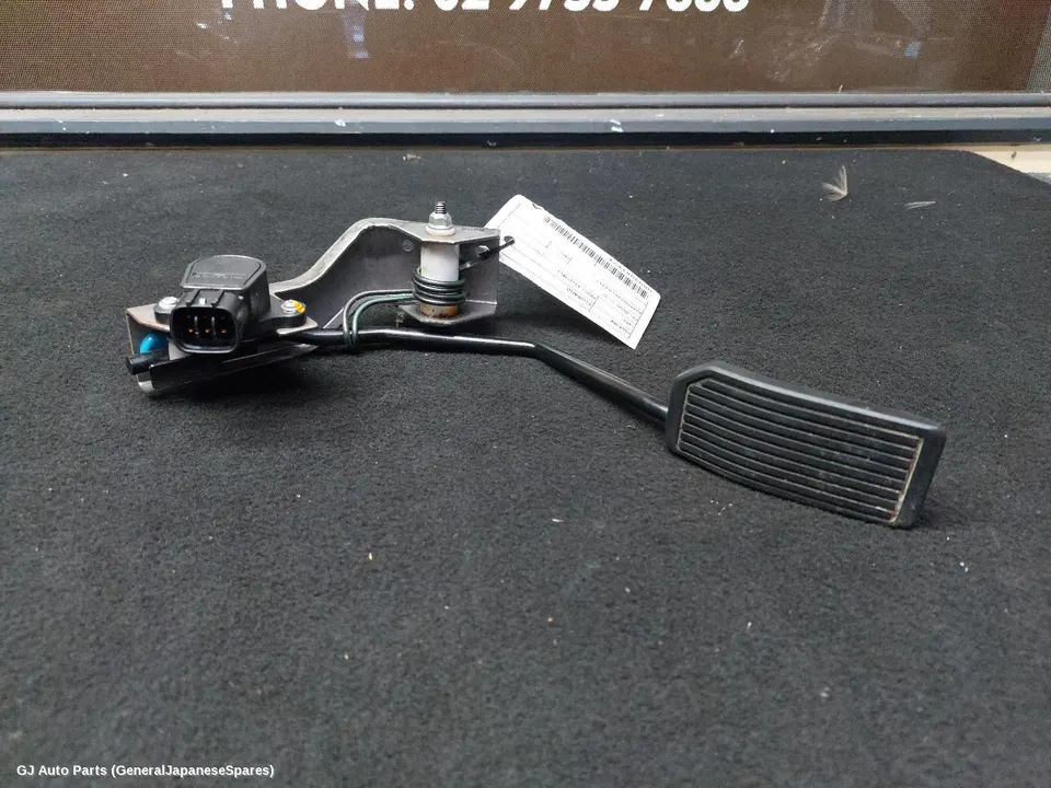 Pedal Assembly