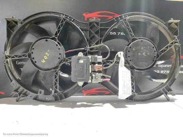 Fan