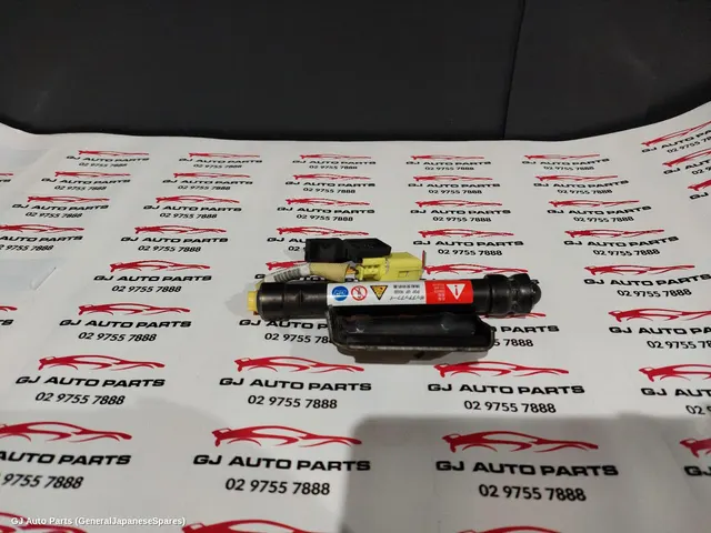 Bonnet Hinge/Strut