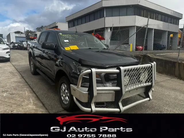 Left Rear Wnd Reg/Motor