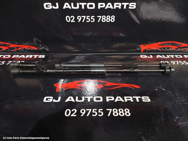 Hatch Strut