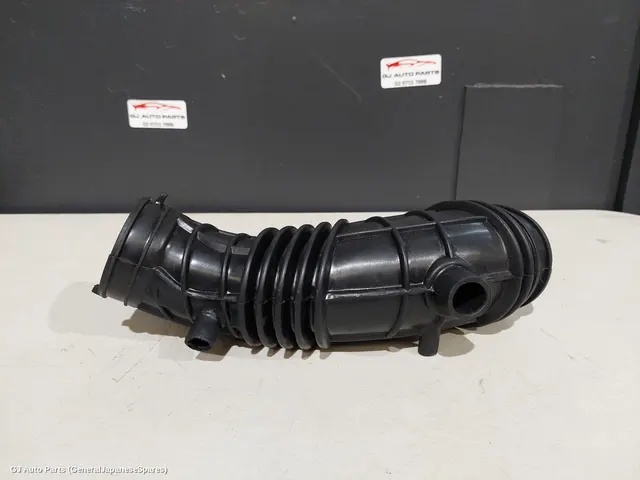 Air Cleaner Duct/Hos