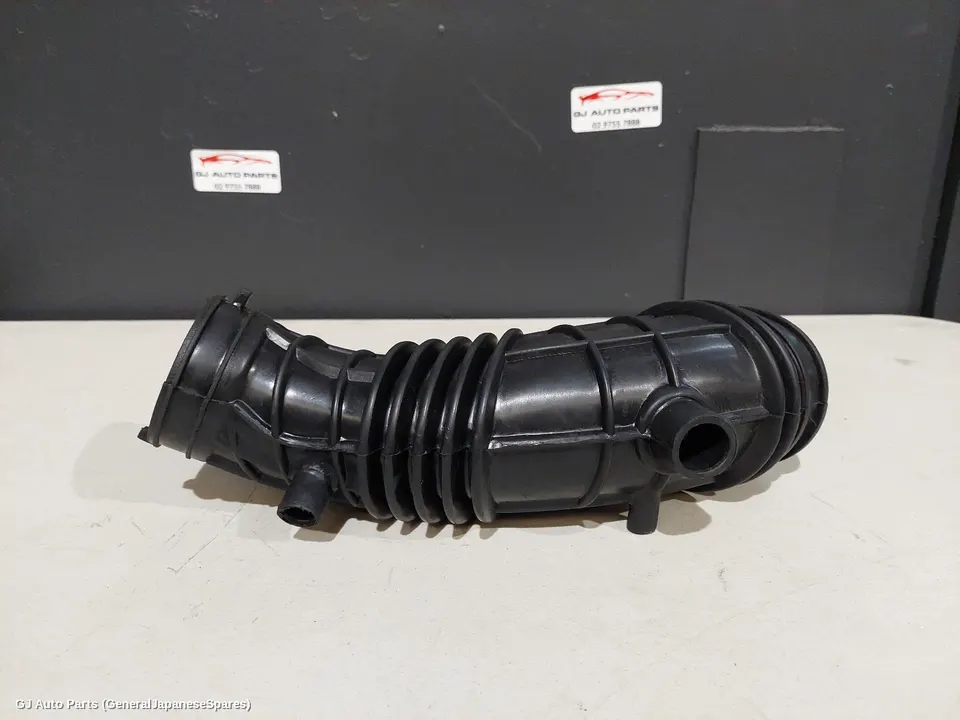 Air Cleaner Duct/Hos