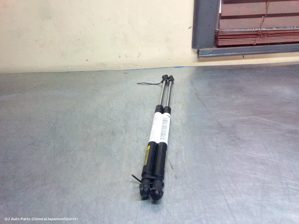 Hatch Strut