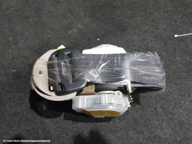 Seatbelt/Stalk