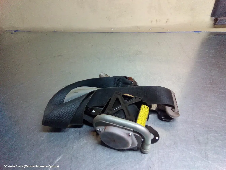 Seatbelt/Stalk