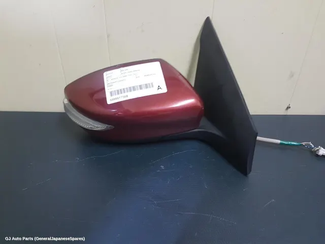 Right Door Mirror