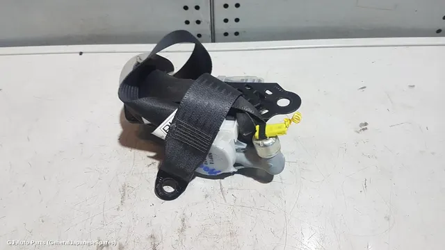 Seatbelt/Stalk