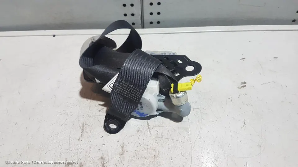 Seatbelt/Stalk