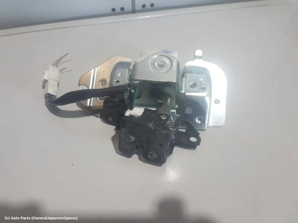Door/Boot/Gate Lock