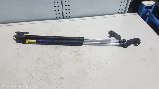 Hatch Strut