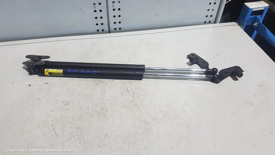 Hatch Strut