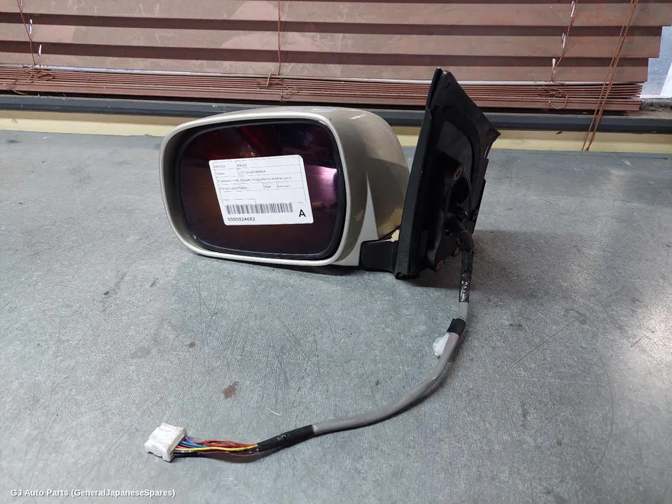 Left Door Mirror