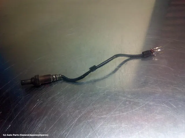 Oxygen Sensor