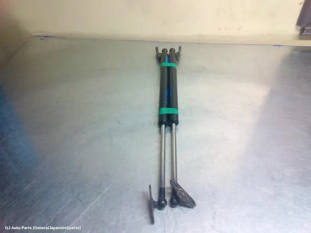 Hatch Strut