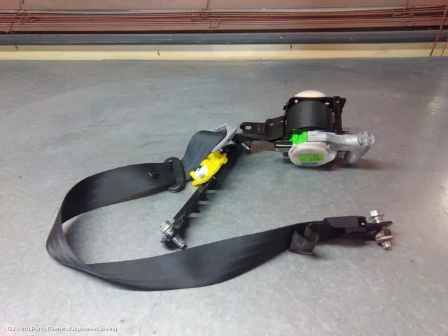 Seatbelt/Stalk