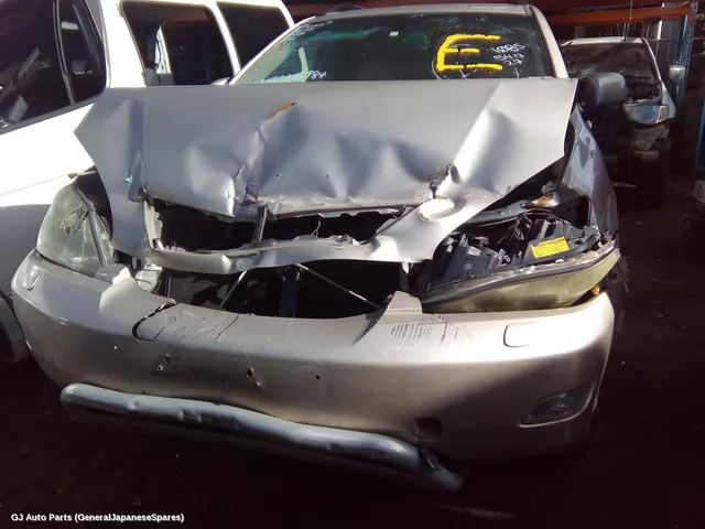 Wheel Mag