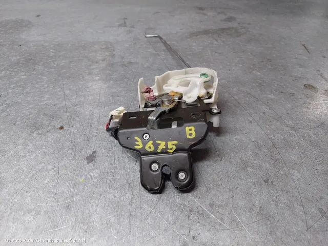 Door/Boot/Gate Lock