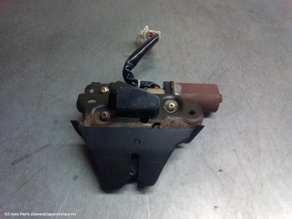 Door/Boot/Gate Lock