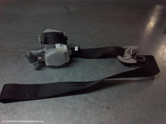 Seatbelt/Stalk
