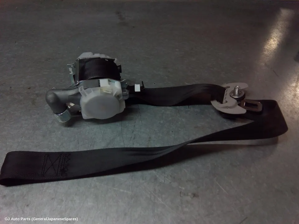 Seatbelt/Stalk